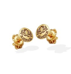 brinco-4mm-flor-de-lotus-iluminacao-02-d597-2-4ee2bede8cf90c3d4816807385751781-1024-1024-1.jpg