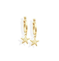 brinco-argola-13mm-c-estrela-do-mar-8mm-02-d487-b744d00bb7cc0afb5116807365981813-1024-1024.jpg