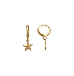brinco-argolinha-com-estrela-do-mar-02-c973-f7cba98b5baef00cac16807276935048-1024-1024.jpg