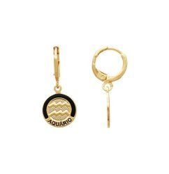 brinco-argolinha-redondo-reticulado-signo-aquario-com-resina-02-d060-2-d3ebbc3834b0b42cdc16807295039067-1024-1024.jpg